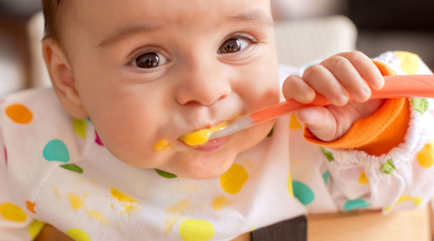 NUTRITIOUS FOOD FOR YOUR CRAWLER